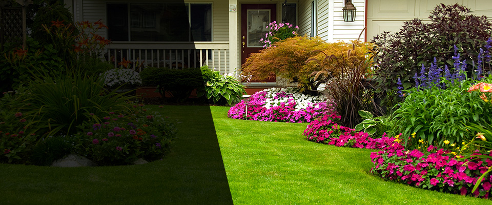 Dobson Landscapers