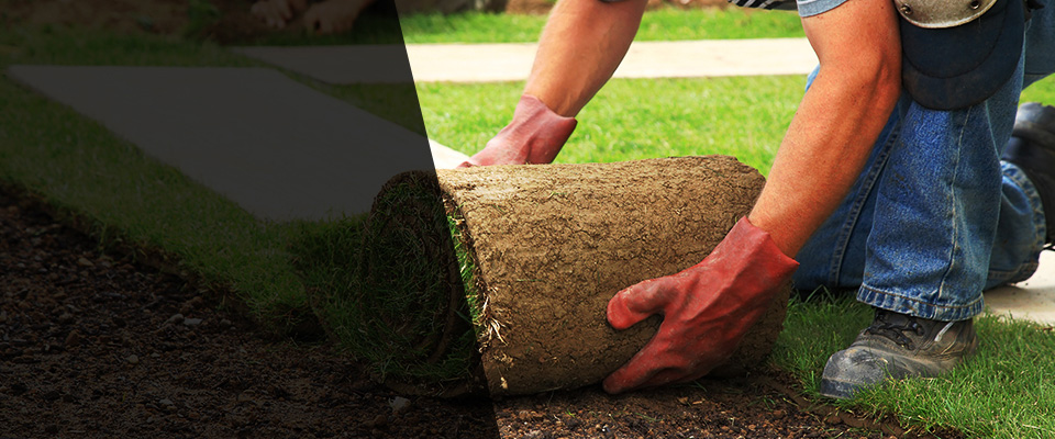 Dobson Landscapers